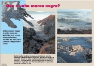 Exposición. As Mareas Negras-1